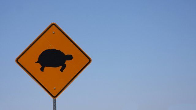 Turtle warning sign