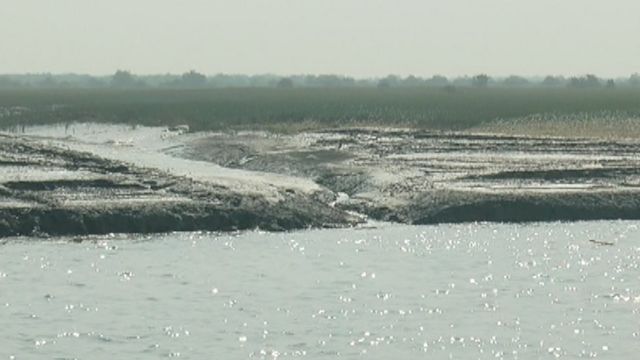 ঠেঙ্গারচরের মাটি এখনো নরম
