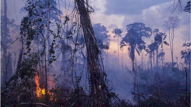 아마존 열대우림에는 산불이 더 잦아지고 있다