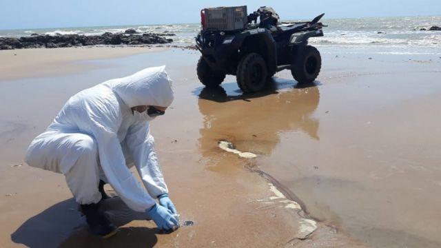 Equipe do PCCB-UERN monitorando praias para coleta de amostras e resgate de animais encalhados