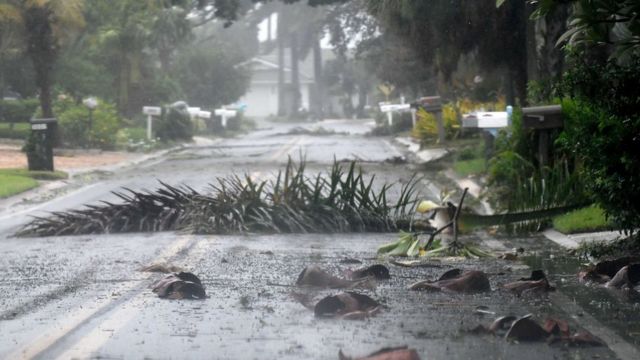 Pemandangan jalan dengan cabang-cabang tumbang di Saint Petersburg, Florida