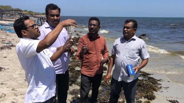 ஆராச்சியில் ஈடுபடும் விஞ்ஞானிகள்