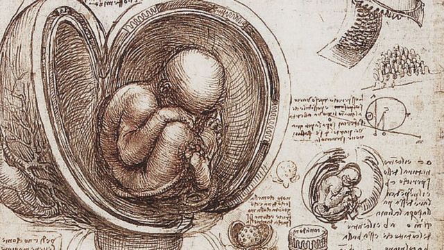 Cómo es el bolígrafo que dura toda la vida, escribe sin tinta y utiliza  la alquimia de Leonardo Da Vinci - Infobae