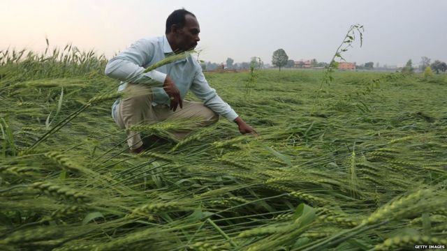 किसान, नरेंद्र मोदी, भारत कृषि