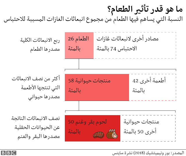 ما الضرر الذي يلحقه الطعام الذي تأكله يدمر كوكبنا؟  - بي بي سي نيوز العربية