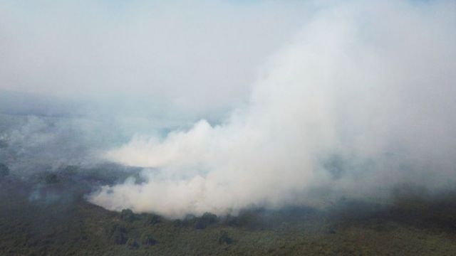 Com período de extrema seca, Pantanal viu o fogo tomar conta de parte de sua área nos últimos meses