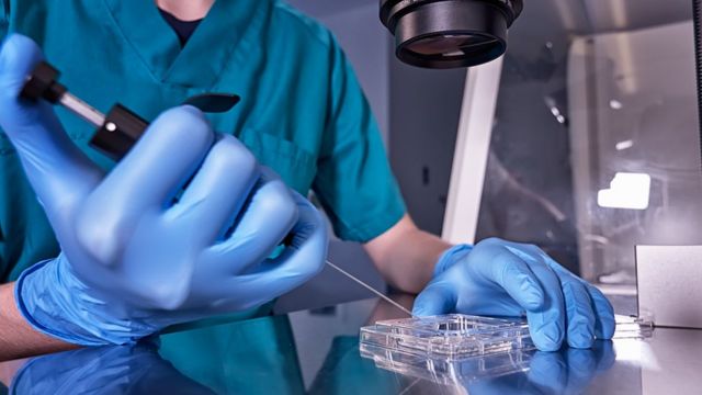 செயற்கை கருத்தரிப்பு