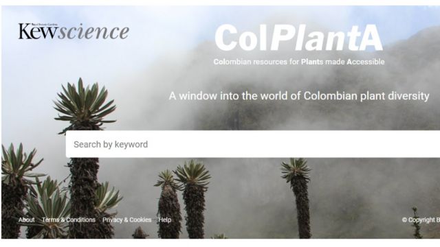 Portal ColPlantA