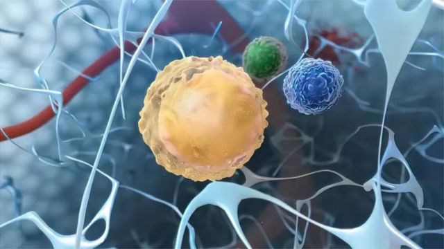 控制免疫细胞活动性的蛋白质细胞因子(photo:BBC)