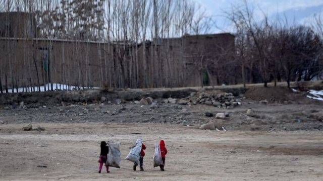 بیشتر کودکان کار خیابانی در ایران و افغانستان به پلاستیک فروشی، جمعآوری زبالهها، انتقال اموال مشتریان مشغولند