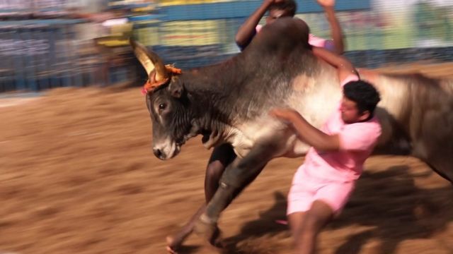 The majestic bull that Assault showed without letting the players even close to the cosmos