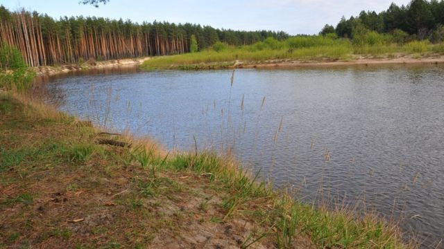 Роботи на річці Прип'яті загрожують мільйонам українців - Guardian