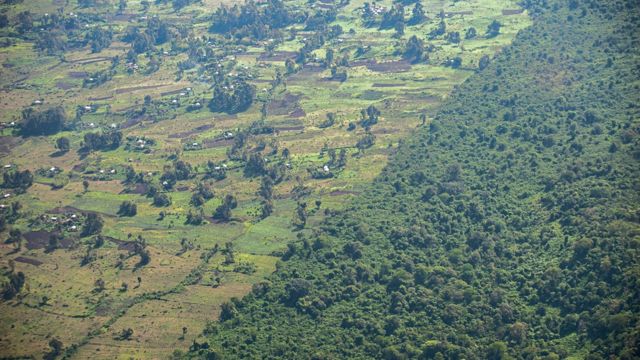 Parque Nacional de Virunga, na República Democrática do Congo, está ameaçado pela pressão agrícola