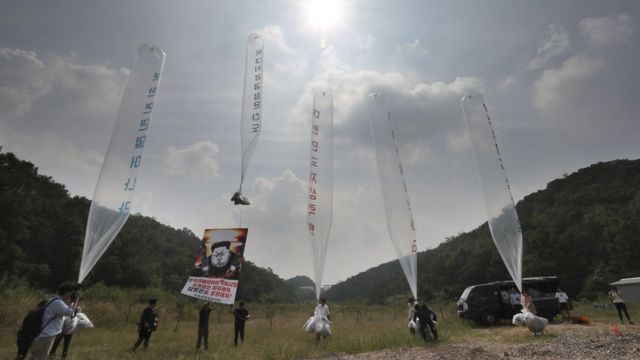 Activistas surcoreanos