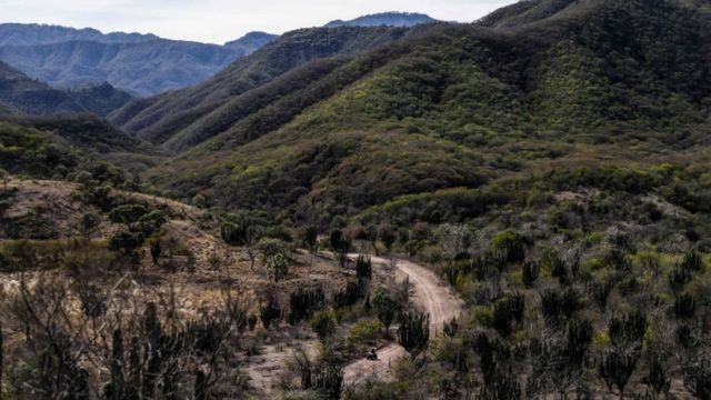 Las montañas de Badiraguato, en el estado de Sinaloa, México