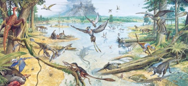 From scales to feathers: How birds evolved from dinosaurs •