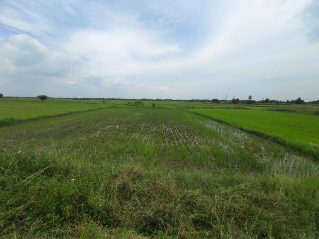 விவசாய நிலம்