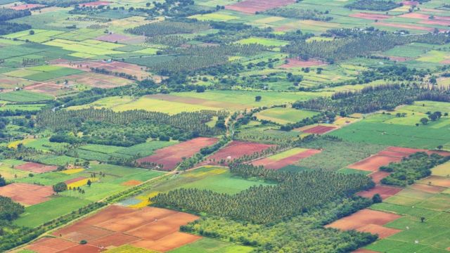 அம்மை முதல் கொரோனா வரை கைகொடுக்கும் தமிழர் மருத்துவ முறை: கவனிக்கப்படாதது ஏன்?
