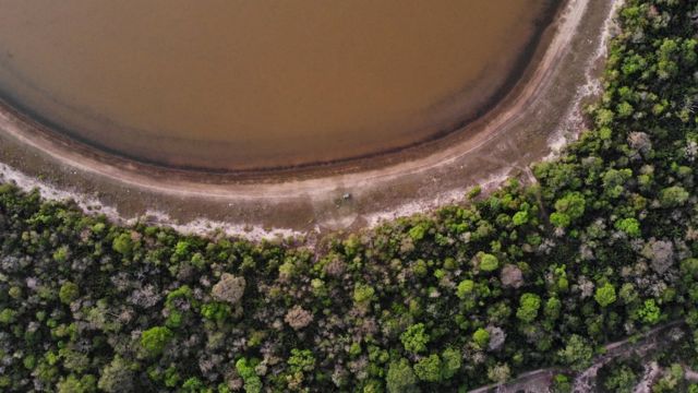 Imagem do pantanal