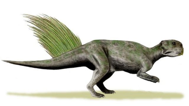 El misterio de cómo tenían sexo los dinosaurios - BBC News Mundo