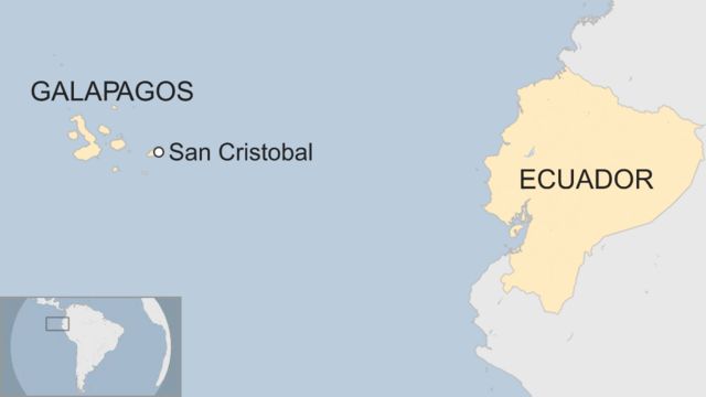 ガラパゴス諸島でサメ密猟か エクアドル当局が中国漁船を拿捕 cニュース