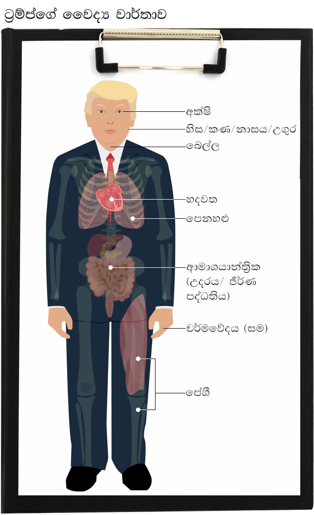 ට්රම්ප් වෛද්ය වාර්තාව
