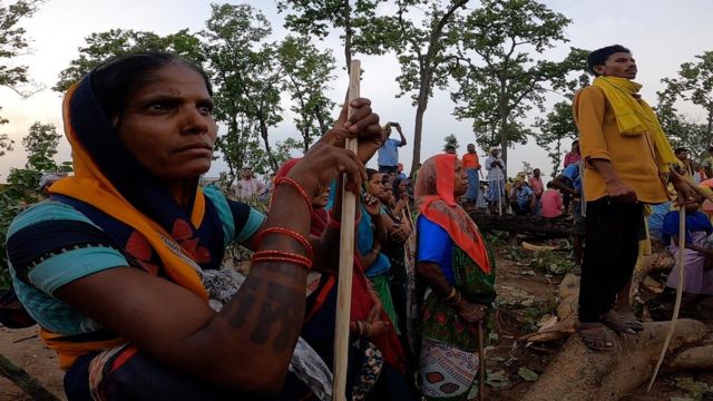 छत्तीसगढ़: कोयले के लिए काटे जा रहे हसदेव अरण्य के पेड़, बचाने के लिए डटे  आदिवासी: ग्राउंड रिपोर्ट - BBC News हिंदी