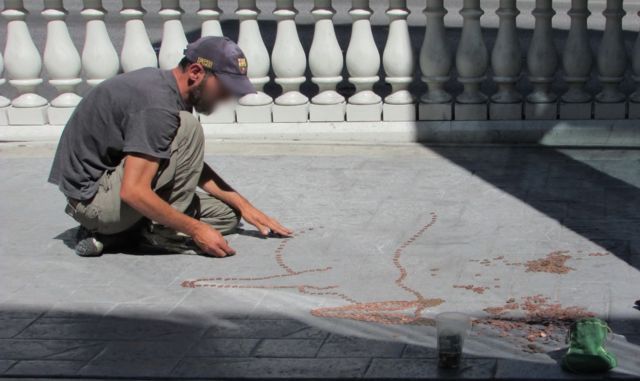 Một người đàn ông homeless đang chơi trò chơi với những đồng xu nhận được, trên đường phố Las Vegas, tiểu bang Nevada, Hoa Kỳ, tháng 5/2016 