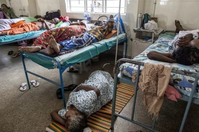 ஆன்டிபயாடிக்குகள்