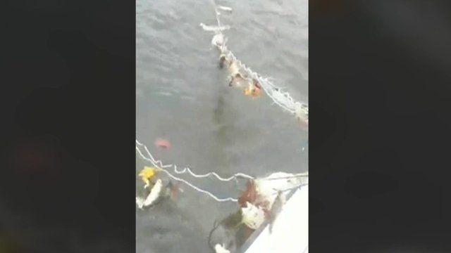 Fishing net found in River Thames
