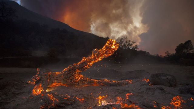 лесной пожар в Калифорнии
