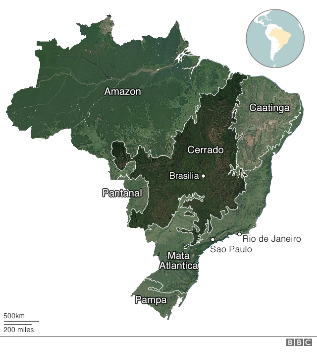 A map of Brazilian regions, including the Cerrado