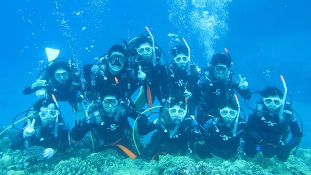 Grupo de mergulhadores embaixo d'água