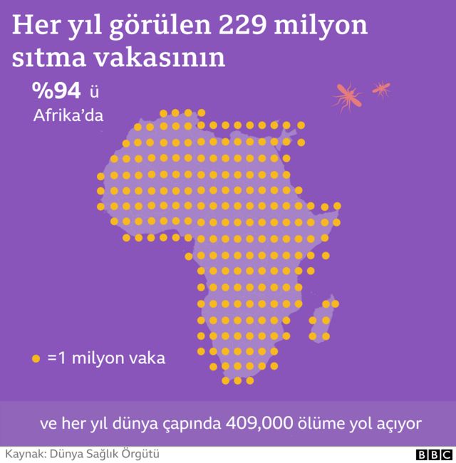 SITMA AŞISI