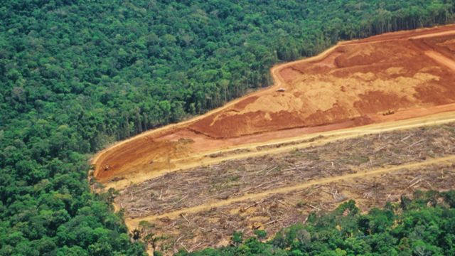 Desforestación en Brasil