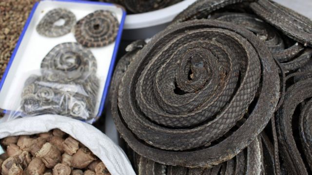 Dried snakes at a traditional Chinese market