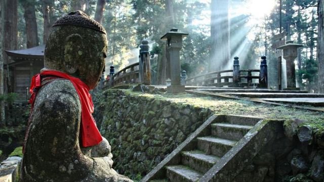 Journey into the Hidden World of Temples in Japan