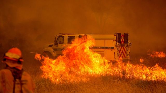 1 Temmuz'da ABD'nin Kaliforniya eyaletinde çıkan bir yangın
