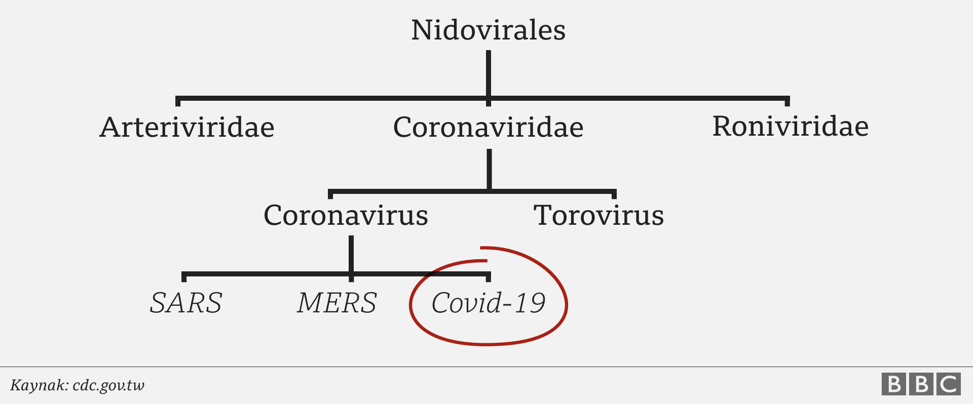 Koronavirüs