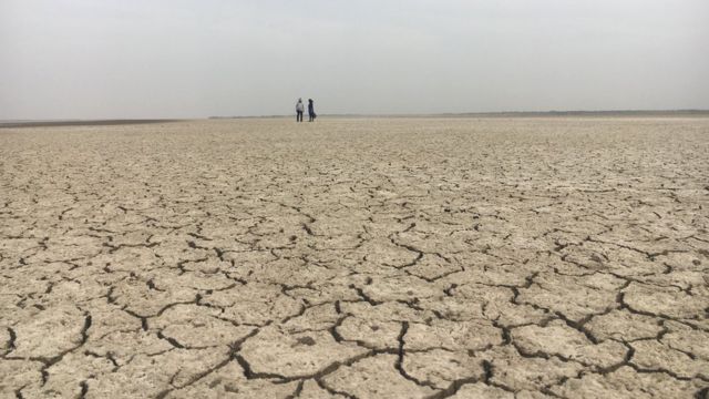 Campo seco em Gujarat