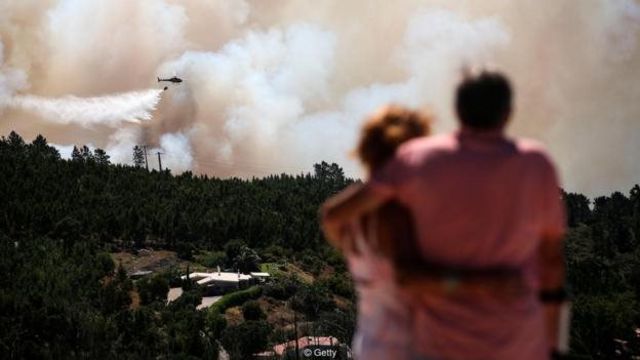 Lima mitos tentang kebakaran hutan - BBC News Indonesia