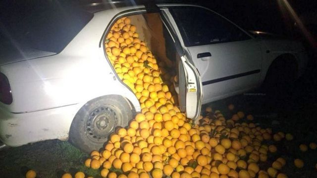A car transporting thousands of oranges allegedly stolen from a warehouse, in Seville, Spain.