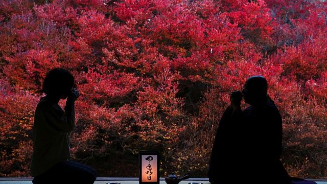 اعتدال الخريف مناسبة لتذكر الأسلاف في اليابان