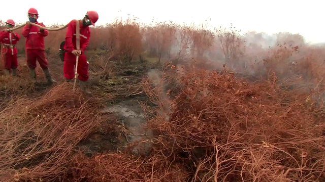 Peat land fire in South Sumatra