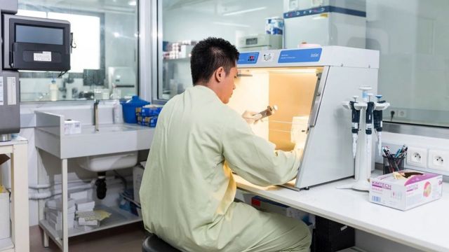 l'autre virus qui inquiète l'asie - 116487807 30eadf2e b7a3 4669 b39c 327ad04513ea - L’autre virus qui inquiète l’Asie Une des équipes de Duong travaille sur un échantillon d'urine de chauve-souris l'autre virus qui inquiète l'asie - 116487807 30eadf2e b7a3 4669 b39c 327ad04513ea - L’autre virus qui inquiète l’Asie