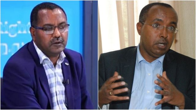 Professors Mehari Redeai and Assefa Fissiha