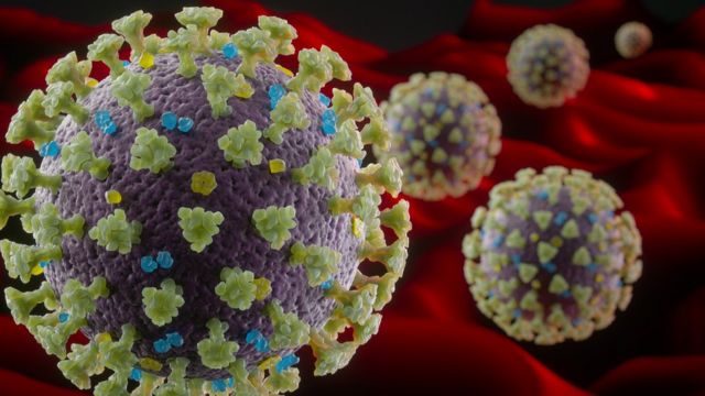 Nueva Cepa De Coronavirus Por Que La Nueva Variante Detectada En Reino Unido Es Tan Contagiosa Bbc News Mundo