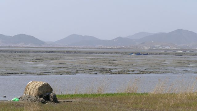 Marismas en el noroeste de Corea del Norte.