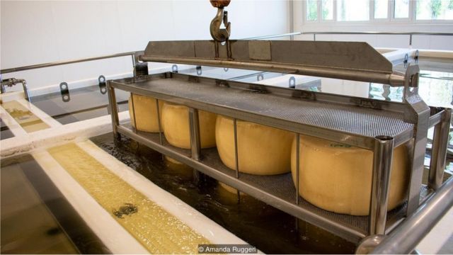 Rodas de Parmigiano Reggiano são pressionadas