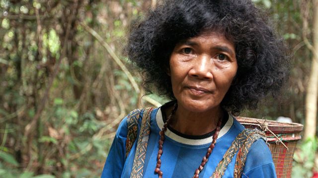 An Orang Rimba woman in the forest
